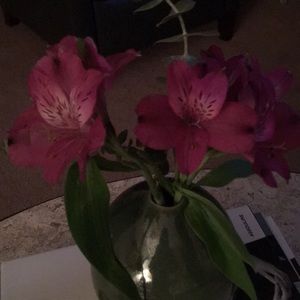 Meet your Posher, Diane